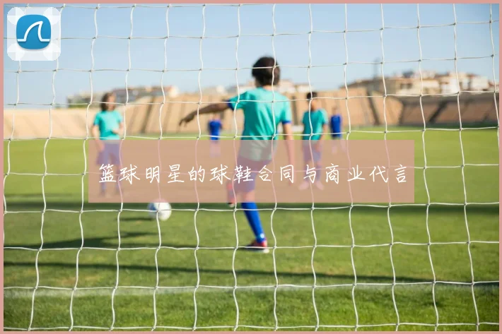 篮球明星的球鞋合同与商业代言