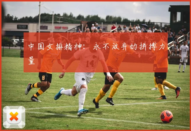中国女排精神：永不放弃的拼搏力量