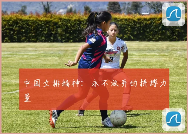 中国女排精神：永不放弃的拼搏力量