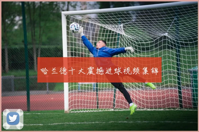 哈兰德十大震撼进球视频集锦