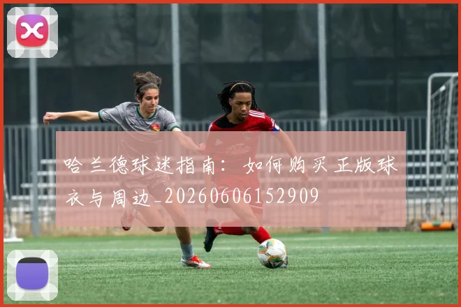 哈兰德球迷指南：如何购买正版球衣与周边_20260606152909
