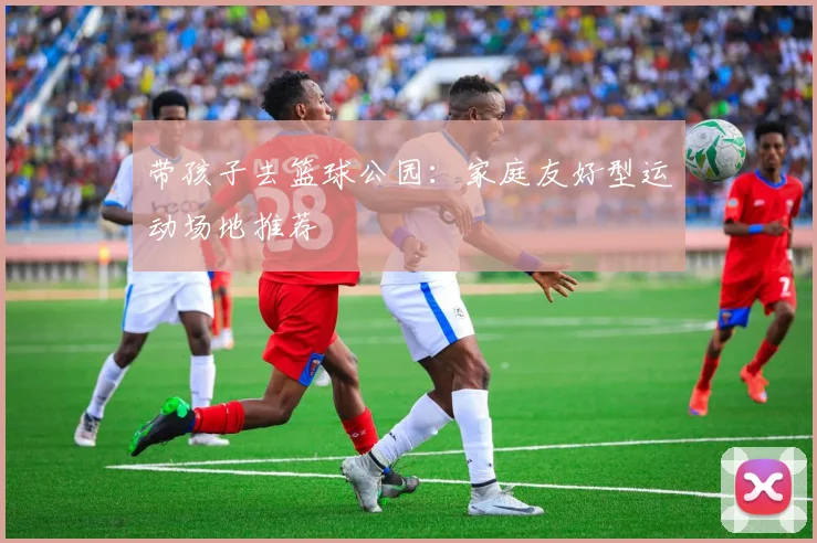 带孩子去篮球公园：家庭友好型运动场地推荐
